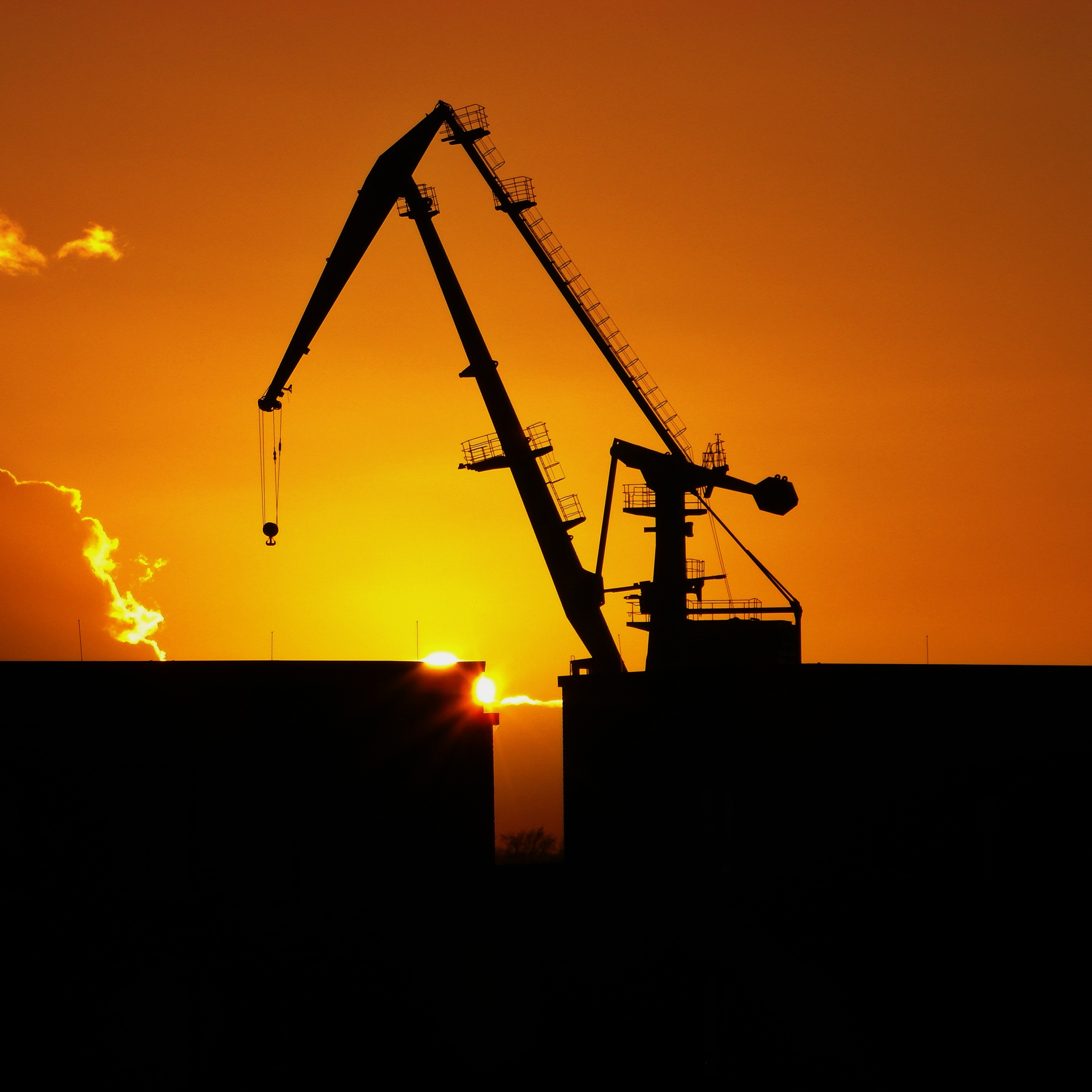 silhouette-cranes-against-sky-sunset